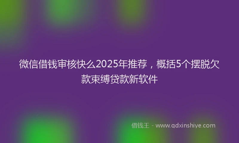 微信借钱审核快么2025年推荐，概括5个摆脱欠款束缚贷款新软件