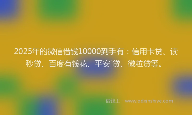 2025年的微信借钱10000到手有：信用卡贷、读秒贷、百度有钱花、平安i贷、微粒贷等。