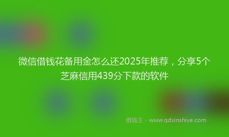 微信借钱花备用金怎么还2025年推荐，分享5个芝麻信用439分下款的软件