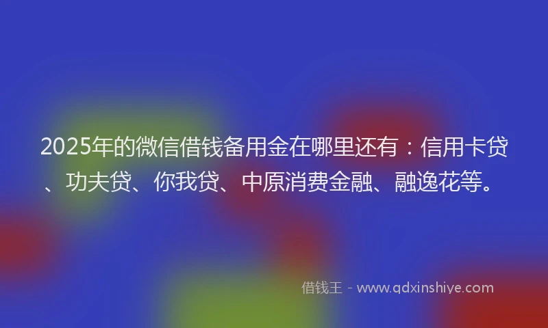 2025年的微信借钱备用金在哪里还有：信用卡贷、功夫贷、你我贷、中原消费金融、融逸花等。