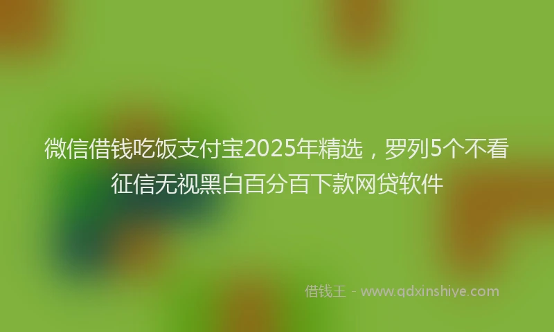 微信借钱吃饭支付宝2025年精选，罗列5个不看征信无视黑白百分百下款网贷软件