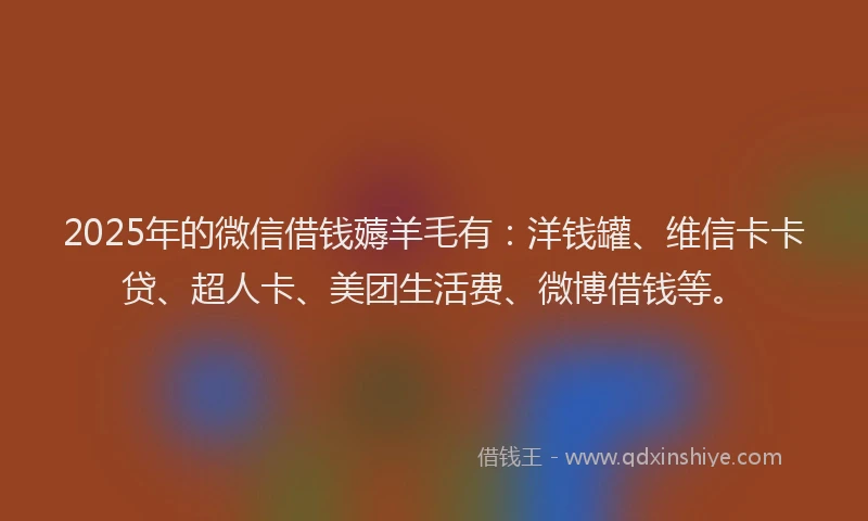 2025年的微信借钱薅羊毛有：洋钱罐、维信卡卡贷、超人卡、美团生活费、微博借钱等。