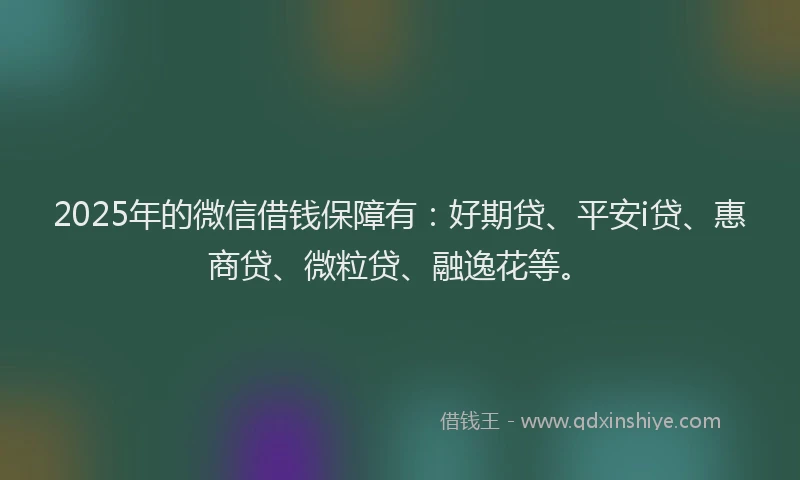 2025年的微信借钱保障有：好期贷、平安i贷、惠商贷、微粒贷、融逸花等。