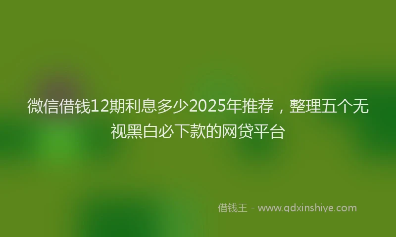 微信借钱12期利息多少2025年推荐，整理五个无视黑白必下款的网贷平台