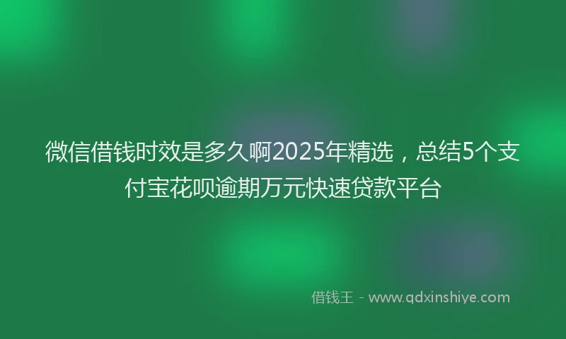 微信借钱时效是多久啊2025年精选，总结5个支付宝花呗逾期万元快速贷款平台