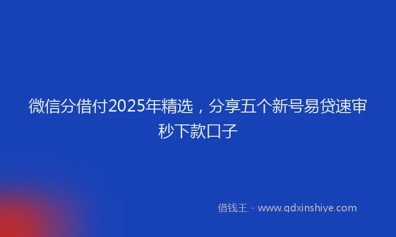 微信分借付2025年精选，分享五个新号易贷速审秒下款口子