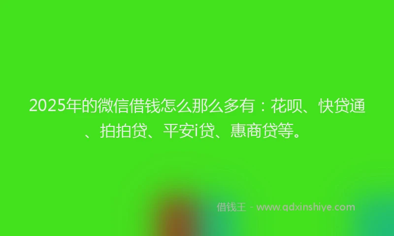 2025年的微信借钱怎么那么多有：花呗、快贷通、拍拍贷、平安i贷、惠商贷等。