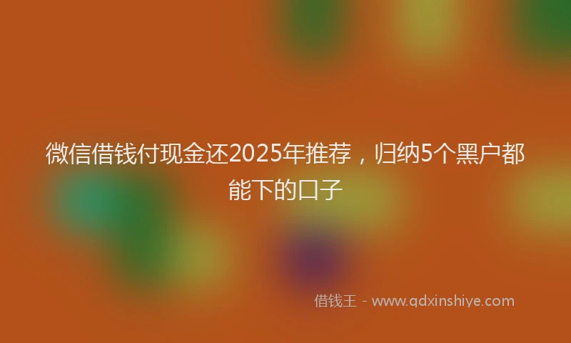 微信借钱付现金还2025年推荐，归纳5个黑户都能下的口子