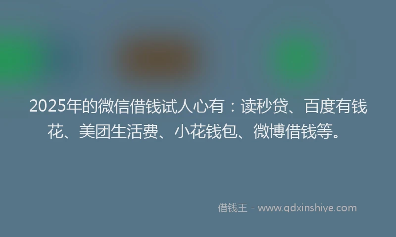 2025年的微信借钱试人心有：读秒贷、百度有钱花、美团生活费、小花钱包、微博借钱等。