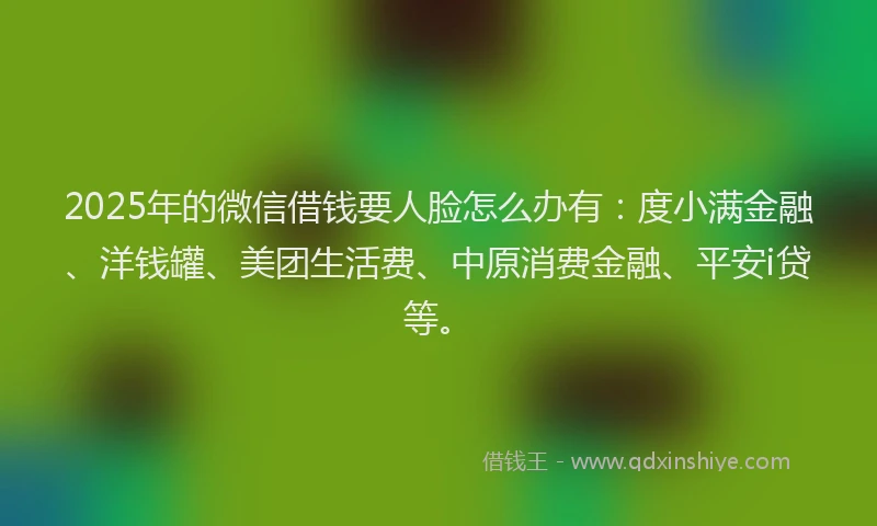 2025年的微信借钱要人脸怎么办有：度小满金融、洋钱罐、美团生活费、中原消费金融、平安i贷等。
