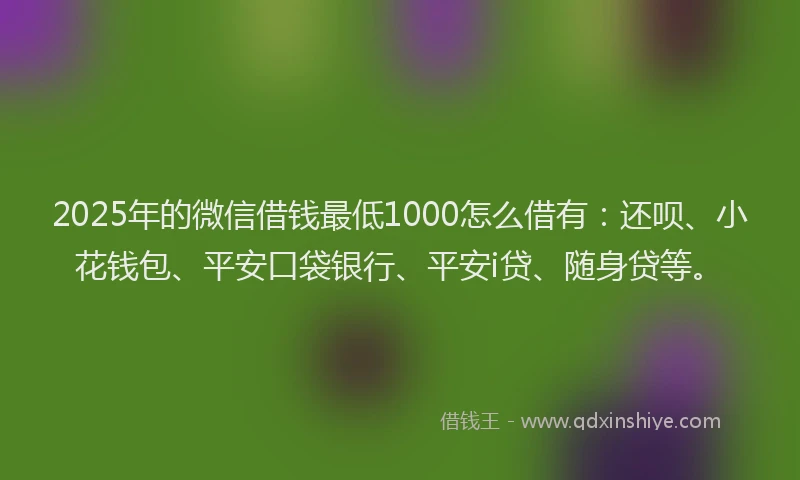 2025年的微信借钱最低1000怎么借有：还呗、小花钱包、平安口袋银行、平安i贷、随身贷等。