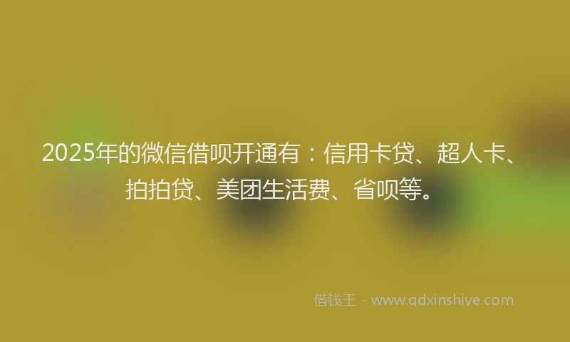 2025年的微信借呗开通有：信用卡贷、超人卡、拍拍贷、美团生活费、省呗等。