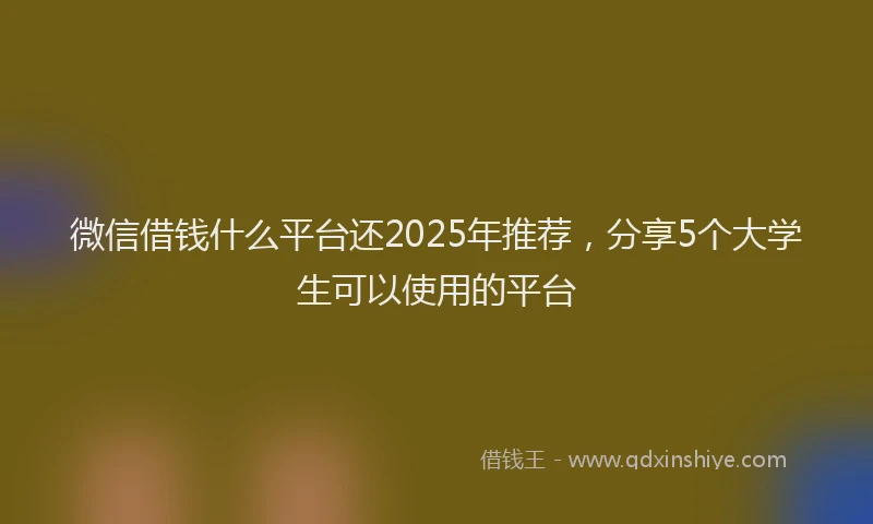 微信借钱什么平台还2025年推荐，分享5个大学生可以使用的平台