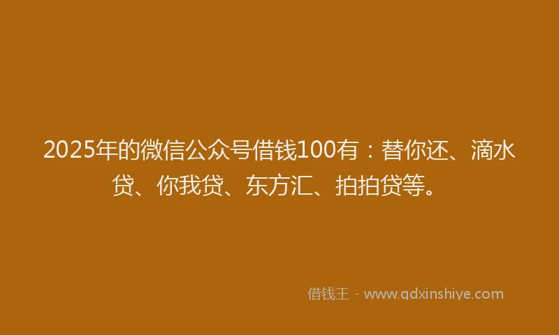 2025年的微信公众号借钱100有：替你还、滴水贷、你我贷、东方汇、拍拍贷等。