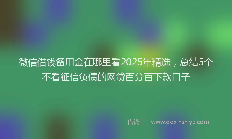 微信借钱备用金在哪里看2025年精选，总结5个不看征信负债的网贷百分百下款口子