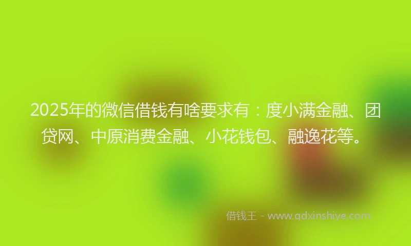 2025年的微信借钱有啥要求有：度小满金融、团贷网、中原消费金融、小花钱包、融逸花等。
