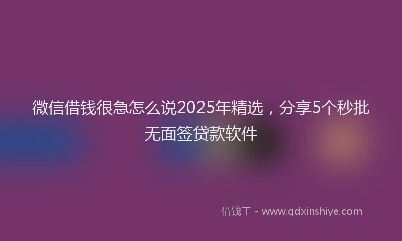 微信借钱很急怎么说2025年精选，分享5个秒批无面签贷款软件