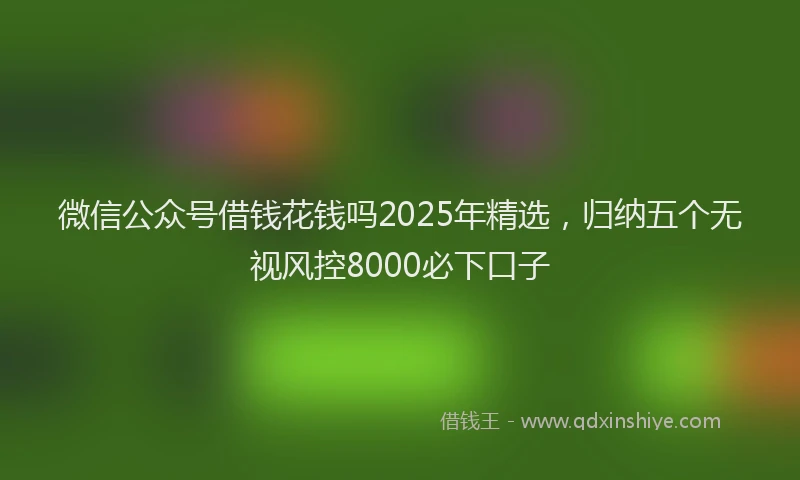 微信公众号借钱花钱吗2025年精选，归纳五个无视风控8000必下口子