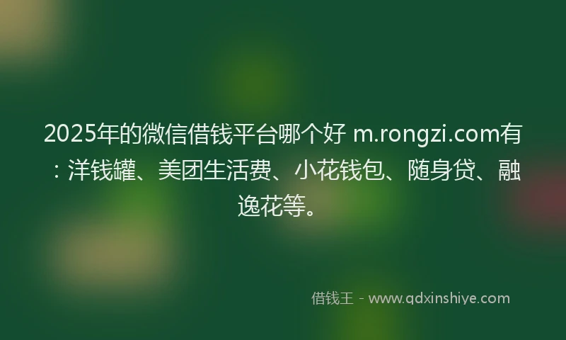 2025年的微信借钱平台哪个好 m.rongzi.com有：洋钱罐、美团生活费、小花钱包、随身贷、融逸花等。