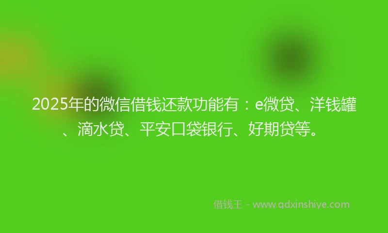 2025年的微信借钱还款功能有：e微贷、洋钱罐、滴水贷、平安口袋银行、好期贷等。