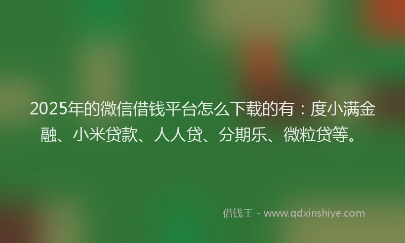 2025年的微信借钱平台怎么下载的有：度小满金融、小米贷款、人人贷、分期乐、微粒贷等。