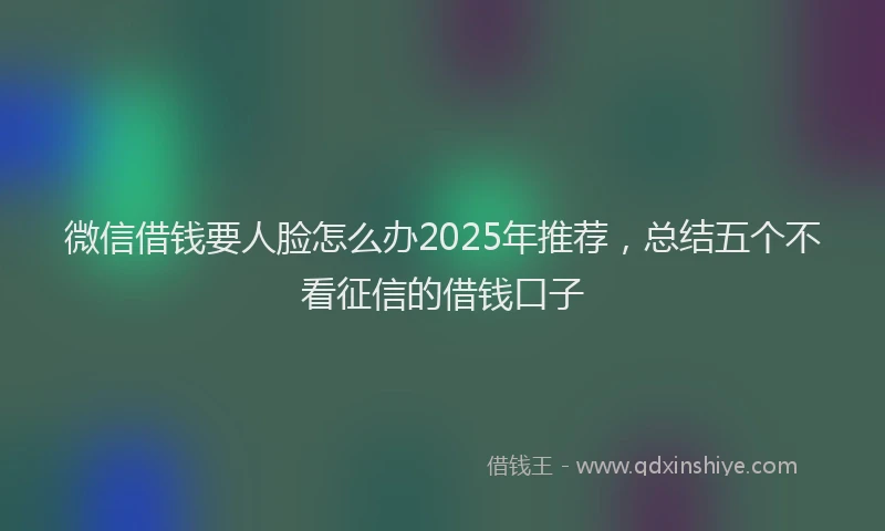微信借钱要人脸怎么办2025年推荐，总结五个不看征信的借钱口子