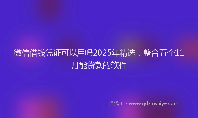 微信借钱凭证可以用吗2025年精选，整合五个11月能贷款的软件