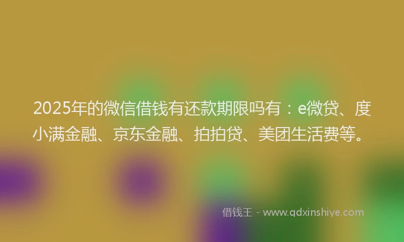 2025年的微信借钱有还款期限吗有：e微贷、度小满金融、京东金融、拍拍贷、美团生活费等。