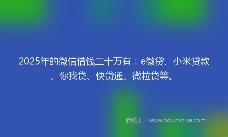 2025年的微信借钱三十万有：e微贷、小米贷款、你我贷、快贷通、微粒贷等。