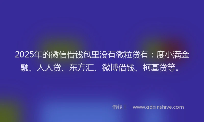 2025年的微信借钱包里没有微粒贷有：度小满金融、人人贷、东方汇、微博借钱、柯基贷等。