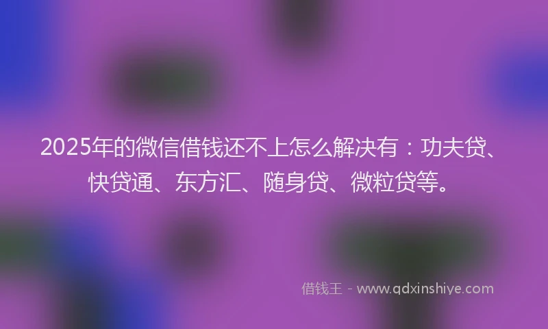 2025年的微信借钱还不上怎么解决有：功夫贷、快贷通、东方汇、随身贷、微粒贷等。