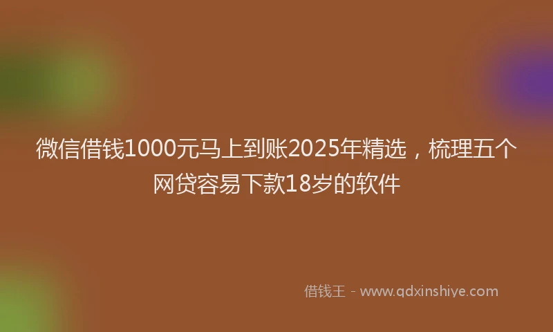 微信借钱1000元马上到账2025年精选，梳理五个网贷容易下款18岁的软件