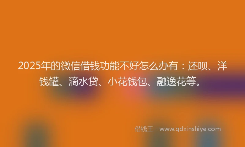 2025年的微信借钱功能不好怎么办有：还呗、洋钱罐、滴水贷、小花钱包、融逸花等。