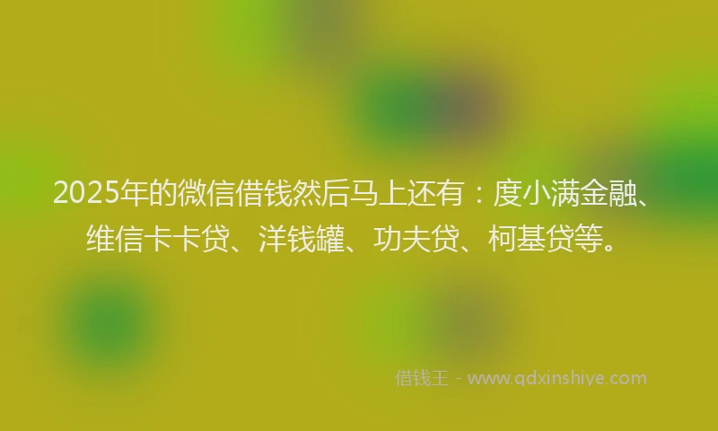 2025年的微信借钱然后马上还有：度小满金融、维信卡卡贷、洋钱罐、功夫贷、柯基贷等。