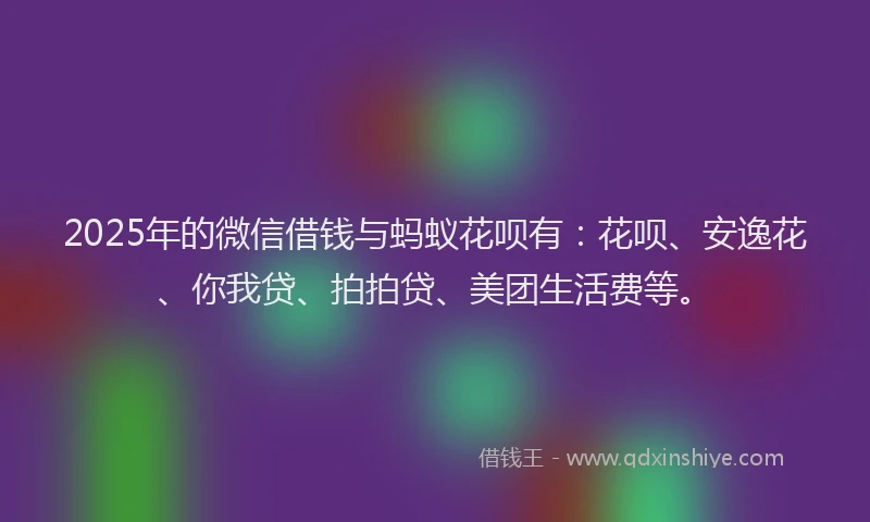 2025年的微信借钱与蚂蚁花呗有：花呗、安逸花、你我贷、拍拍贷、美团生活费等。
