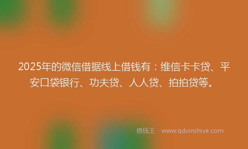 2025年的微信借据线上借钱有：维信卡卡贷、平安口袋银行、功夫贷、人人贷、拍拍贷等。