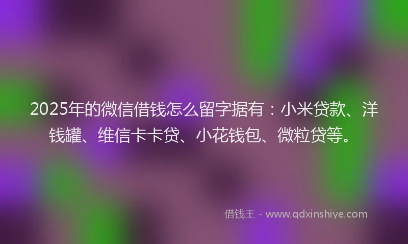 2025年的微信借钱怎么留字据有：小米贷款、洋钱罐、维信卡卡贷、小花钱包、微粒贷等。
