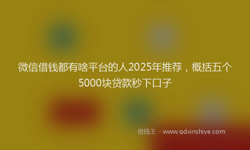 微信借钱都有啥平台的人2025年推荐，概括五个5000块贷款秒下口子