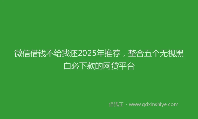 微信借钱不给我还2025年推荐，整合五个无视黑白必下款的网贷平台