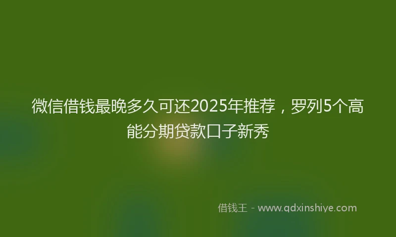 微信借钱最晚多久可还2025年推荐，罗列5个高能分期贷款口子新秀