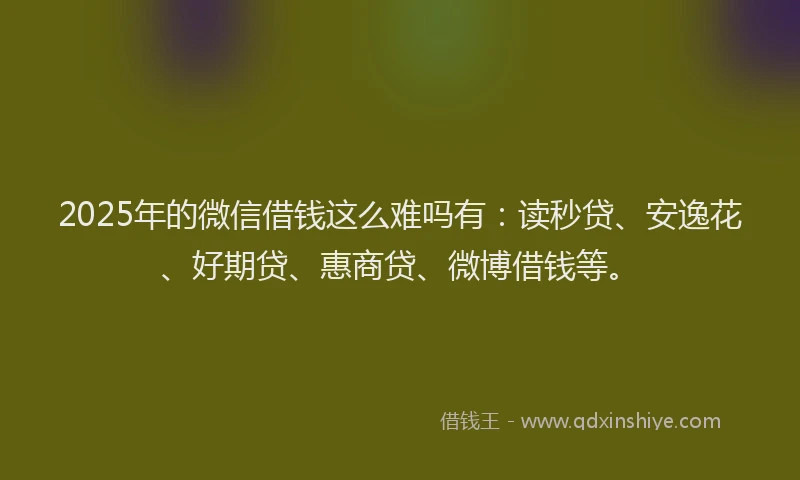 2025年的微信借钱这么难吗有：读秒贷、安逸花、好期贷、惠商贷、微博借钱等。