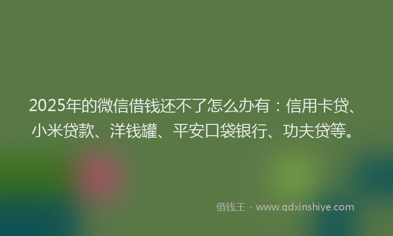 2025年的微信借钱还不了怎么办有：信用卡贷、小米贷款、洋钱罐、平安口袋银行、功夫贷等。
