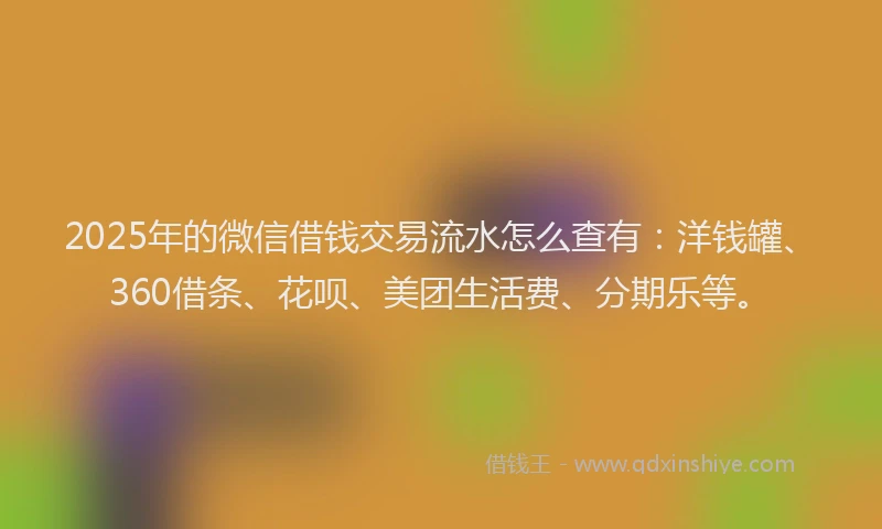 2025年的微信借钱交易流水怎么查有：洋钱罐、360借条、花呗、美团生活费、分期乐等。