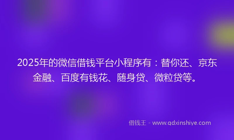 2025年的微信借钱平台小程序有：替你还、京东金融、百度有钱花、随身贷、微粒贷等。