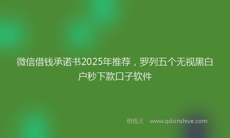 微信借钱承诺书2025年推荐，罗列五个无视黑白户秒下款口子软件