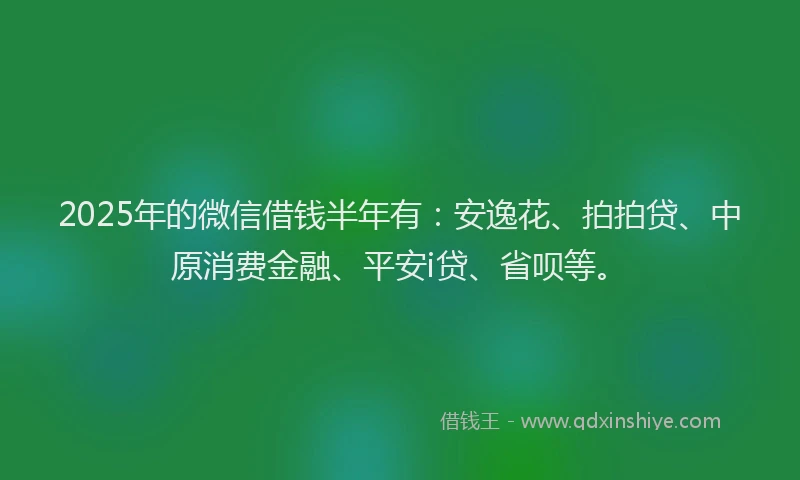 2025年的微信借钱半年有：安逸花、拍拍贷、中原消费金融、平安i贷、省呗等。