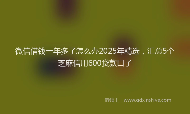微信借钱一年多了怎么办2025年精选，汇总5个芝麻信用600贷款口子