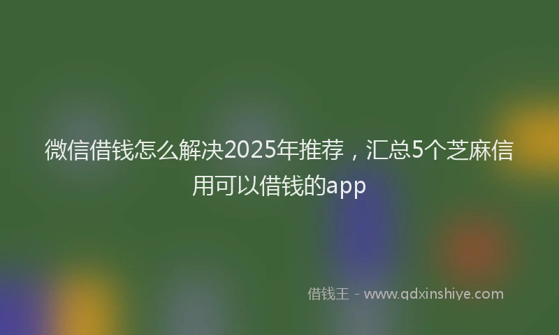 微信借钱怎么解决2025年推荐，汇总5个芝麻信用可以借钱的app
