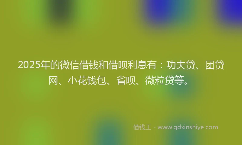 2025年的微信借钱和借呗利息有：功夫贷、团贷网、小花钱包、省呗、微粒贷等。