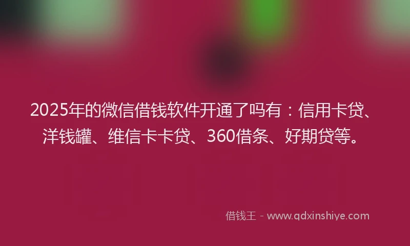 2025年的微信借钱软件开通了吗有：信用卡贷、洋钱罐、维信卡卡贷、360借条、好期贷等。